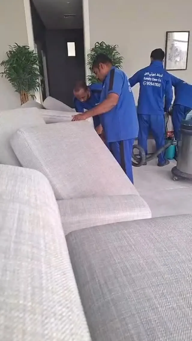 تنظيف الأريكة الاحترافي
